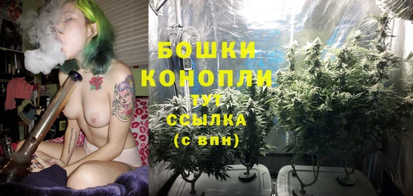 дживик Лагань