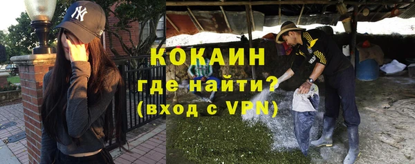 дживик Лагань