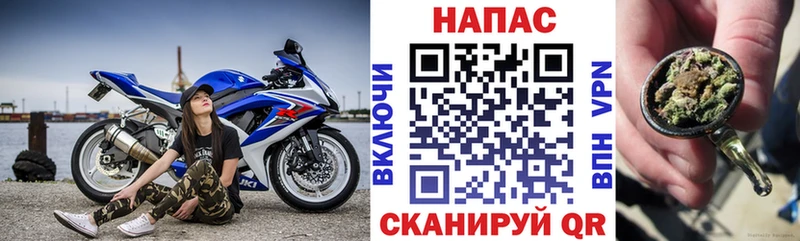 Бошки Шишки гибрид  Купить где  Сенгилей 